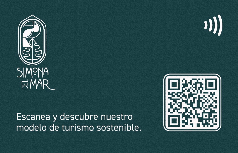 Reverso de la tarjeta NFC RiBuzz