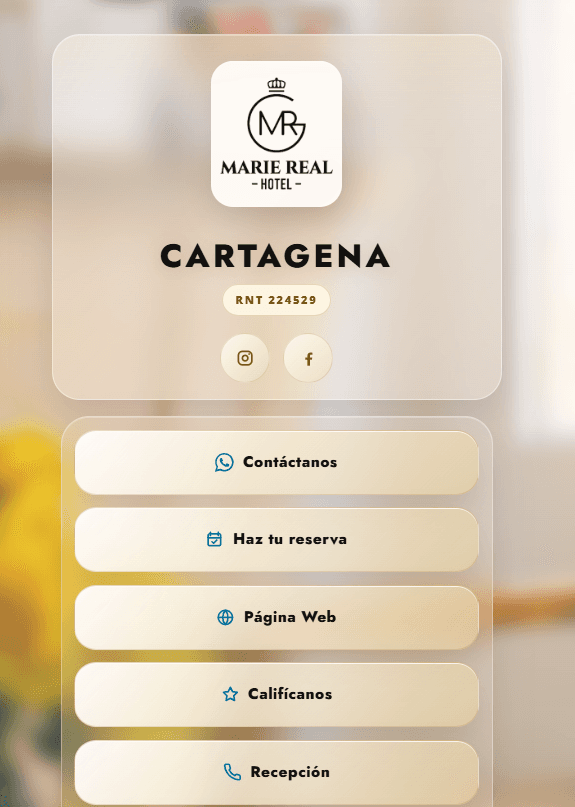 Vista previa Hotel Marie Real Cartagena